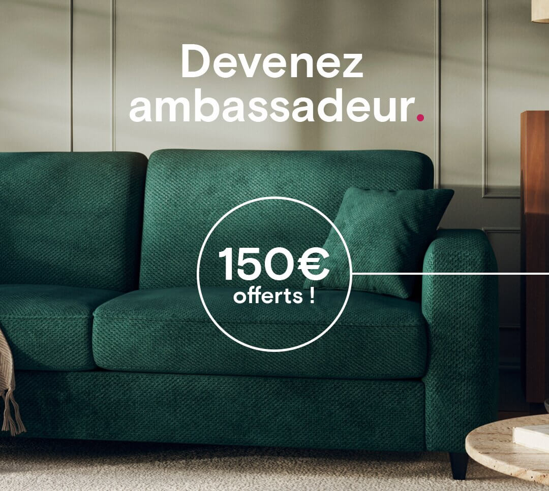  Why become an ambassador?