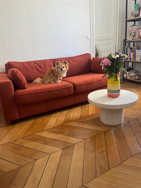 Le canapé convertible Mama en terracotta, dans un appartement Parisien, avec un chien